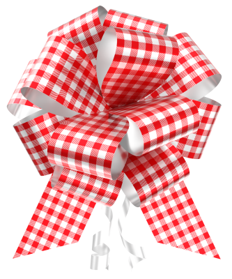 La�o M�gico Decorado Xadrez Vermelho - NOVA ESTAMPA!